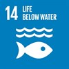 14 - Sustainable Development Goal
